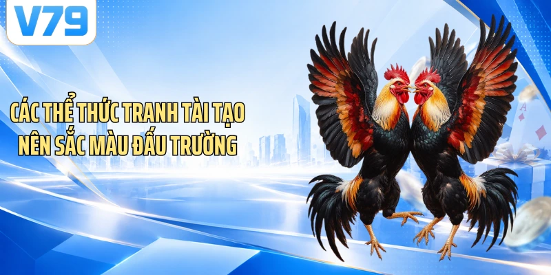 Các thể thức tranh tài tạo nên sắc màu đấu trường
