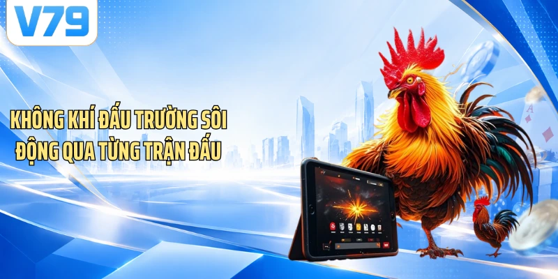 Không khí đấu trường sôi động qua từng trận đấu